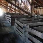 Inside of barn