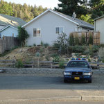 Deer and Police car John Day Oregon