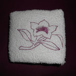 Blume 5