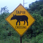 beinahe mein Lieblingsbild:-)