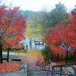 ein grauer Herbsttag mit bunten Blättern