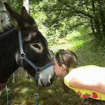 Eselwandern
