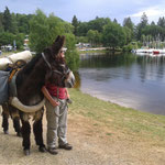 Rund um den See eselwandern