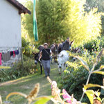 Familie Urlaub mit Eseln