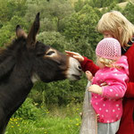 Kind und Esel