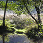 der Fluss
