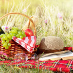 Picknick-korb