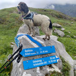 Hochbiel auf 1935m