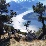 Blick ins Urnerland