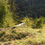 Pradaschier 1740m, längste Rodelbahn der Welt