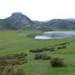 Lago de la Ercina