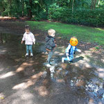 In de bossen 1 september 2023