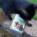 Toxisches Pommes "Ein schönes Ausländerkind"