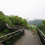 Canopy Walk der Southern Rindges