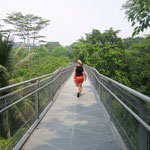 Forest Walk der Southern Rindges Tour