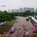 Skyline von Singapur