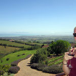 Weinberge bei Stellenbosch