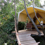 Luxuriöses Zelt mit Himmelbett und WiFi im Tsitsikamma National Park
