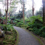 Evolution Garden