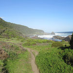 Wanderweg im Tsitsikamma National Park