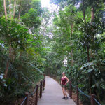 Forest Trail iim Botanischen Garten