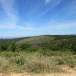Addo Elephant National Park