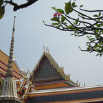 Wat Pho neben dem Wat Phra Kaeo