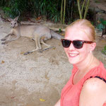 Singapore Zoo: Kaenguruh