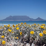 Tafelberg von der Table View Bucht aus