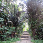 Start der Southern Rindges Tour (Marang Trail).