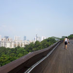 Henderson Waves Bridge