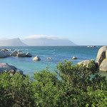 Boulders Beach mit Südafrikanischen Pinguinen
