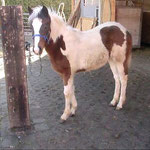 Jife am 02.02.2013