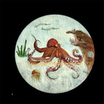 Octopus...Acryl auf Leinwand 2025 verkauft