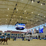 Executive Producer LLN at Abu Dhabi Equestrian Club
