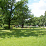 Großer Garten