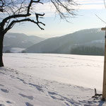 Blick ins Müglitztal vom Winzerweg in Maxen. Foto: © J. Tronicke