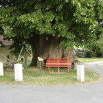 Ruheplatz an der Tausendjährigen Linde in Schmorsdorf. Foto: © S. Weirauch