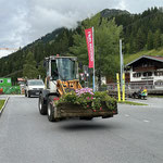 Blumenschmuck zum Zelt transportieren