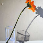 Gerbera im Glas (2011), 100 x 70 cm, Acryl & ÖL auf Leinwand