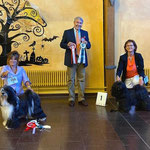 Champion Klasse Hündinnen