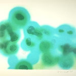 body flower Ⅱ  20.5×28.5㎝ 2006