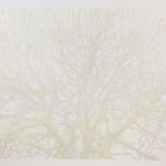  Darkness to Light  53.5 × 76cm  ed.6  2016 lithogrph / silkscreen