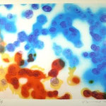 activation  29×35cm  2006