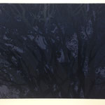 night curtain 51.8 × 69.8cm ed.7 2015