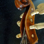 cello piccolo schürch 2012 nach amati