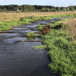 Die Vecht entspringt im Münsterland