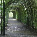 Schlossgärten in Arcen