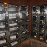 Apfel, Kartoffeln, Eier und vieles mehr aus dem Automaten