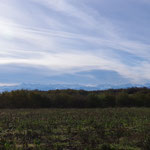 20-11-15 Arrivée au pied des Pyrénées (Hautes-Pyrénées)